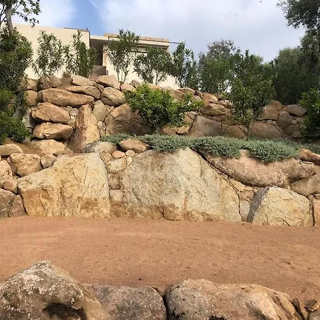 Grande Superbe Vue ! * ゾンザ